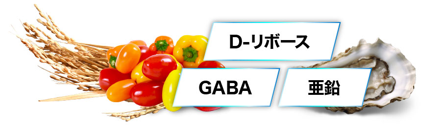 GABA・D-リボース・亜鉛