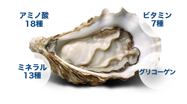 牡蠣に含まれる栄養分-アミノ酸・ビタミン7種・ミネラル13種・グリコーゲン