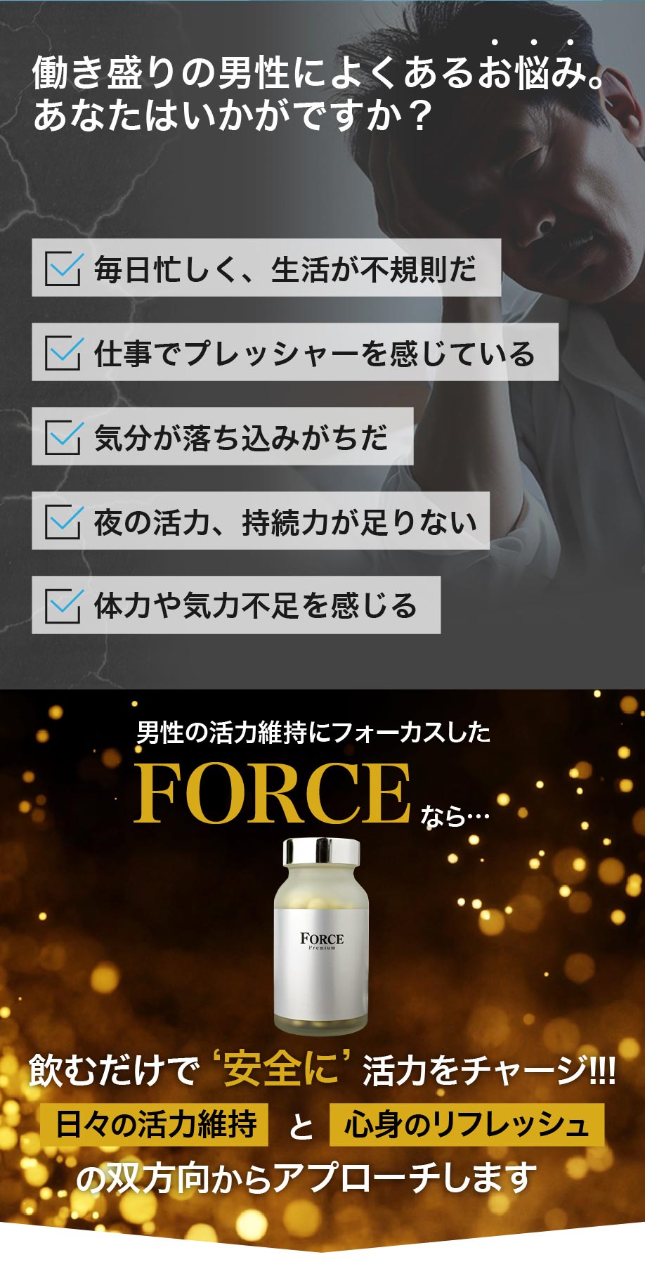 FORCE商品のご案内02